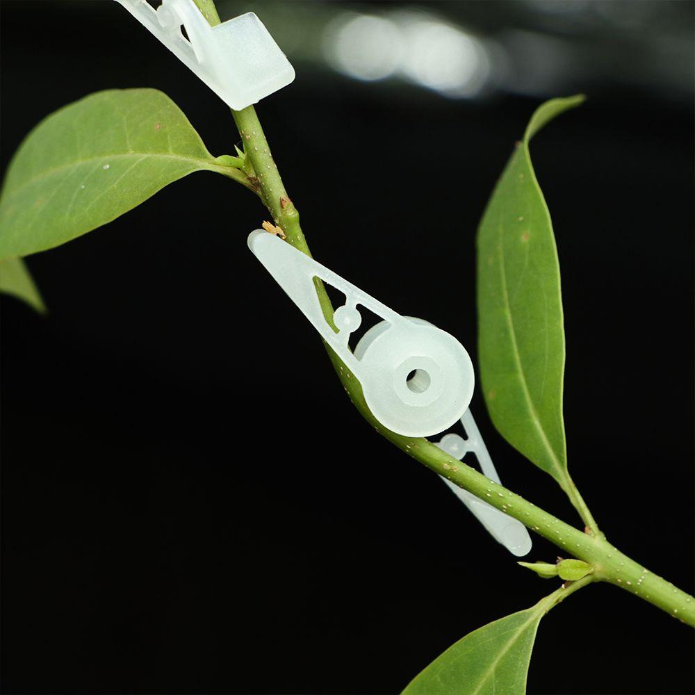 Funcții Stres redus Antrenament plante Cleme LST reutilizabile Controlează creșterea Dispozitiv de îndoire a plantelor la 90 de grade