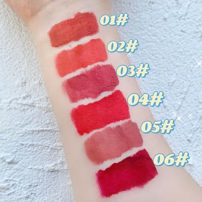 Lip Glaze Set, wasserfest und schweißfest, langanhaltend, feuchtigkeitsspendend, verblasst nicht leicht, Lippenstift-Set, 6-teiliges Make-up-Set für Frauen