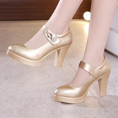 10CM Spring Autumn Casual High-heeled Shoes Sexy Ruslana Korshunova Thick Heels Platform Pumps