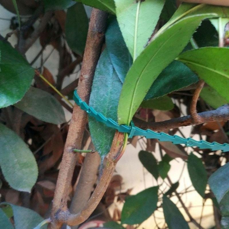 13cm Plant Support Strap Plastic Cable Ties With SelfLocking Design For Vegetables Flowers Potted Plant Gardening