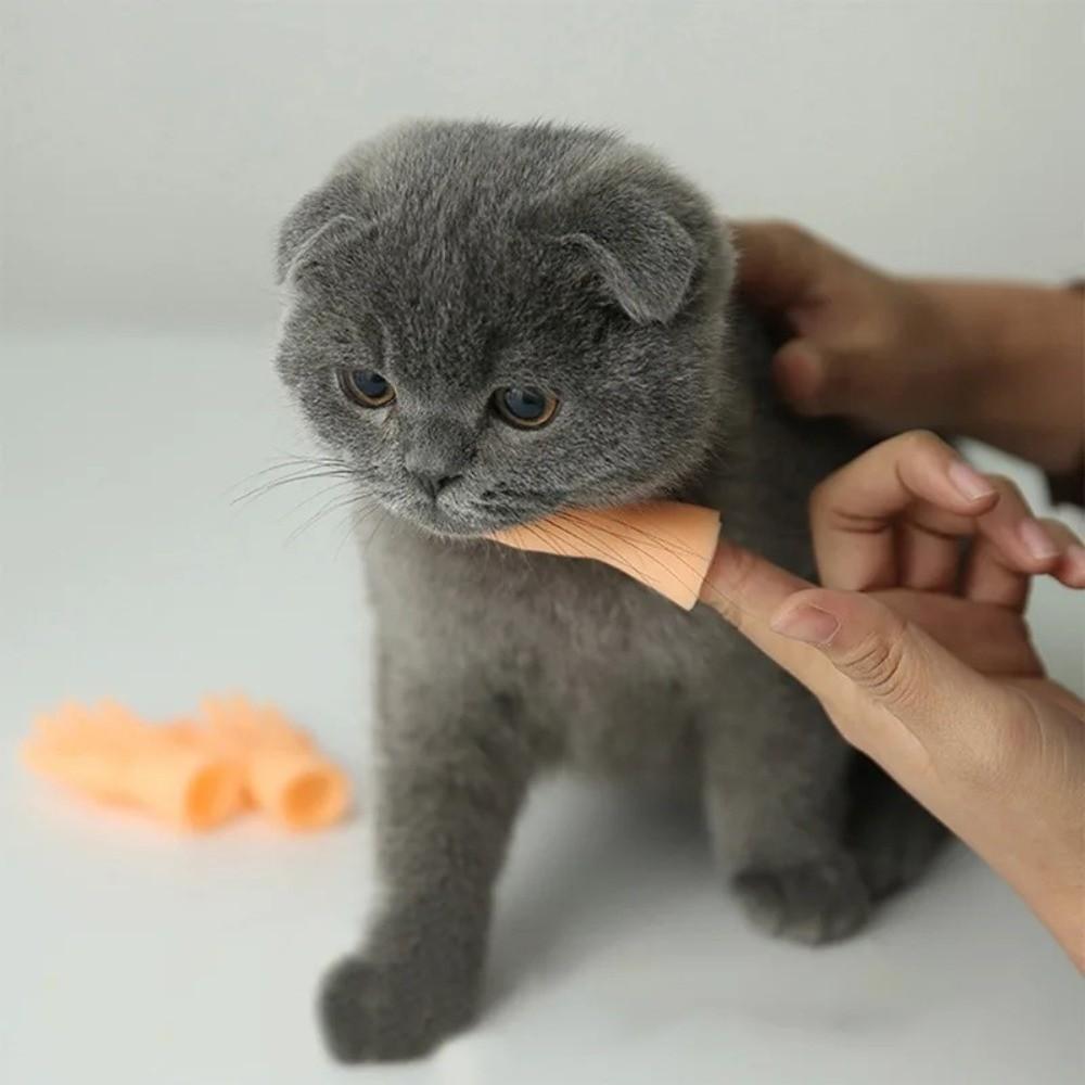 3pcs/set Novel Shape Bite Resistant Pet Finger Puppet Mini Soft Cat Finger Sleeve Funny Cat Teasing Toy Prank Use