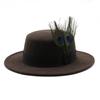 British Style Peacock Feather Classic Retro Woolen Flat Hat Big Eaves Hat Season Men And Women Couple Hat