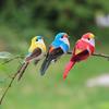6 Stück Realistische Simulierte Vogeldekoration Mit Natürlichen Federn Und Lebendigen Farben Perfekt Für Garten Hof Haus Party Dekoration Schmuckstück