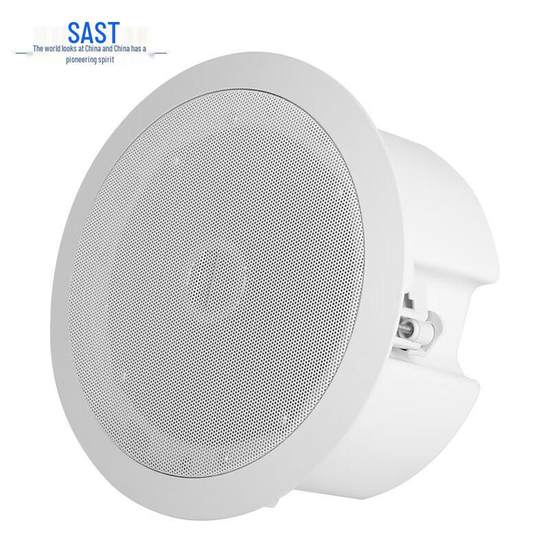 

SAST 6.5-inch Fixed Impedance Coaxial Ceiling Speaker CN plug (adapter included)