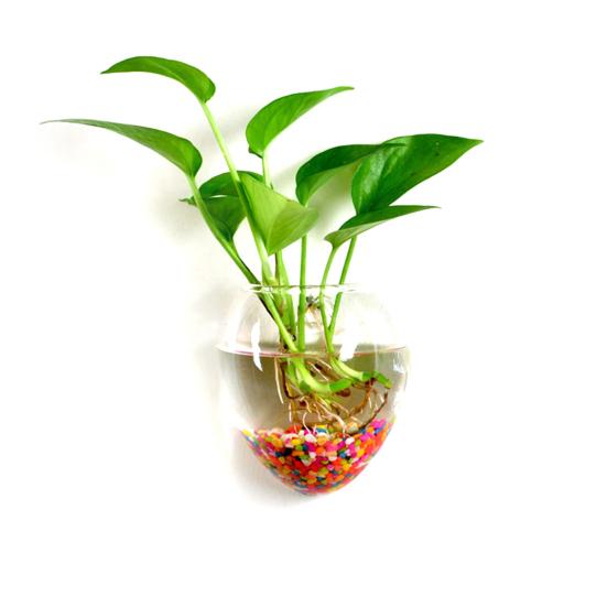 

Гидропонная ваза для цветов, капля воды, в форме сердца, прозрачная настенная стеклянная ваза для цветов, стена для террариума, аквариум, контейнер для аквариума, домашний декор G синий