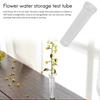 Clear Plastic Floral Tube 100-Pack for Flowers