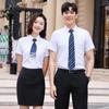 Professional Short-Sleeve Anti-Wrinkle Business Shirt