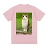 Cat Owl Funny Meowl Meme Brainrot T-shirts Men's Women Clothing Fashion Harajuku Short Sleeves T-shirt Cotton Oversized T Shirts