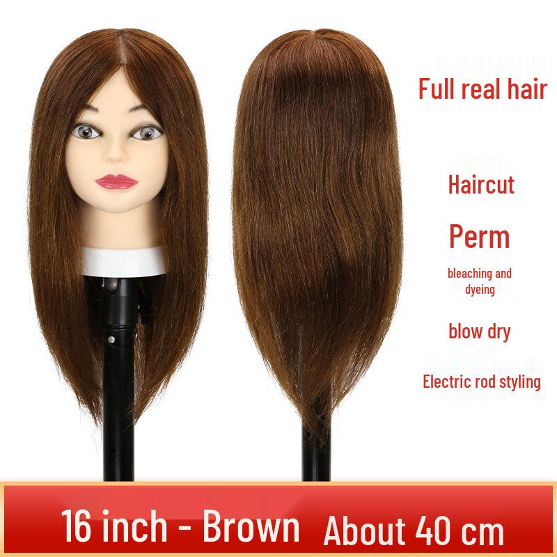Real Hair Mannequin Head for Hairdressing: Perfect for Barber Apprentices, Perming, Dyeing, Cutting, Blowing, and Styling.