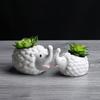 Succulent Ceramic Flower Pot, Gardening Creative Flower Pot With Tray, Korean Office Desktop Potted Ceramic Crafts