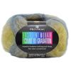 Hamanaka Rich More Excellent Mohair Count 10 Gradient Lace Yarn, Col. 142 Multi-Color, 20g (200m), 10-Ball Set