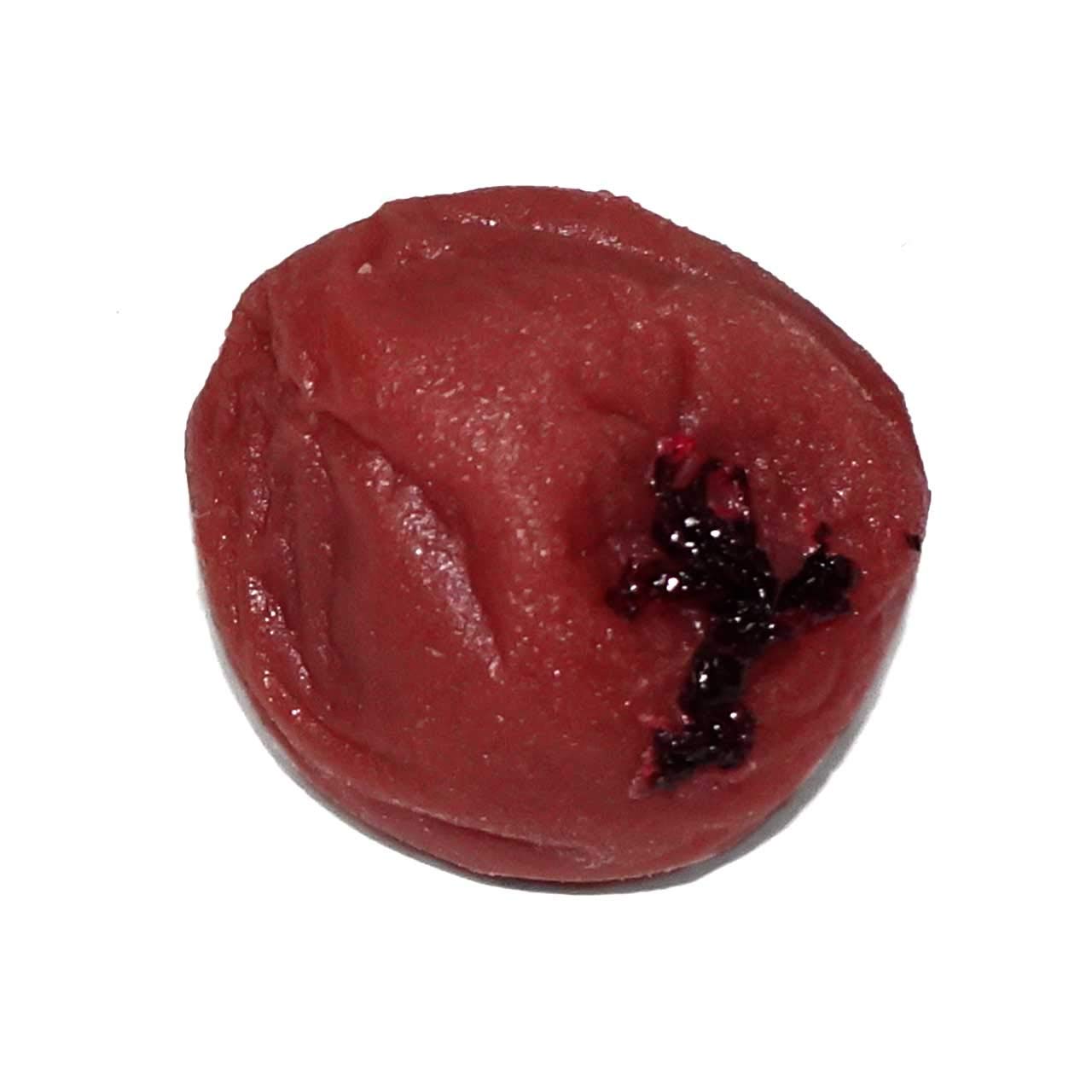

stomach will rumble every time you look at Pickled plum food sample magnet gift 321M Coconut Accessories [Your it] - cute, funny, souvenir,
