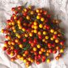 Set of 10 Gold & Silver Foam Red Berries - 100 Cherry Pearlescent Fruit Heads for Christmas Decoration.