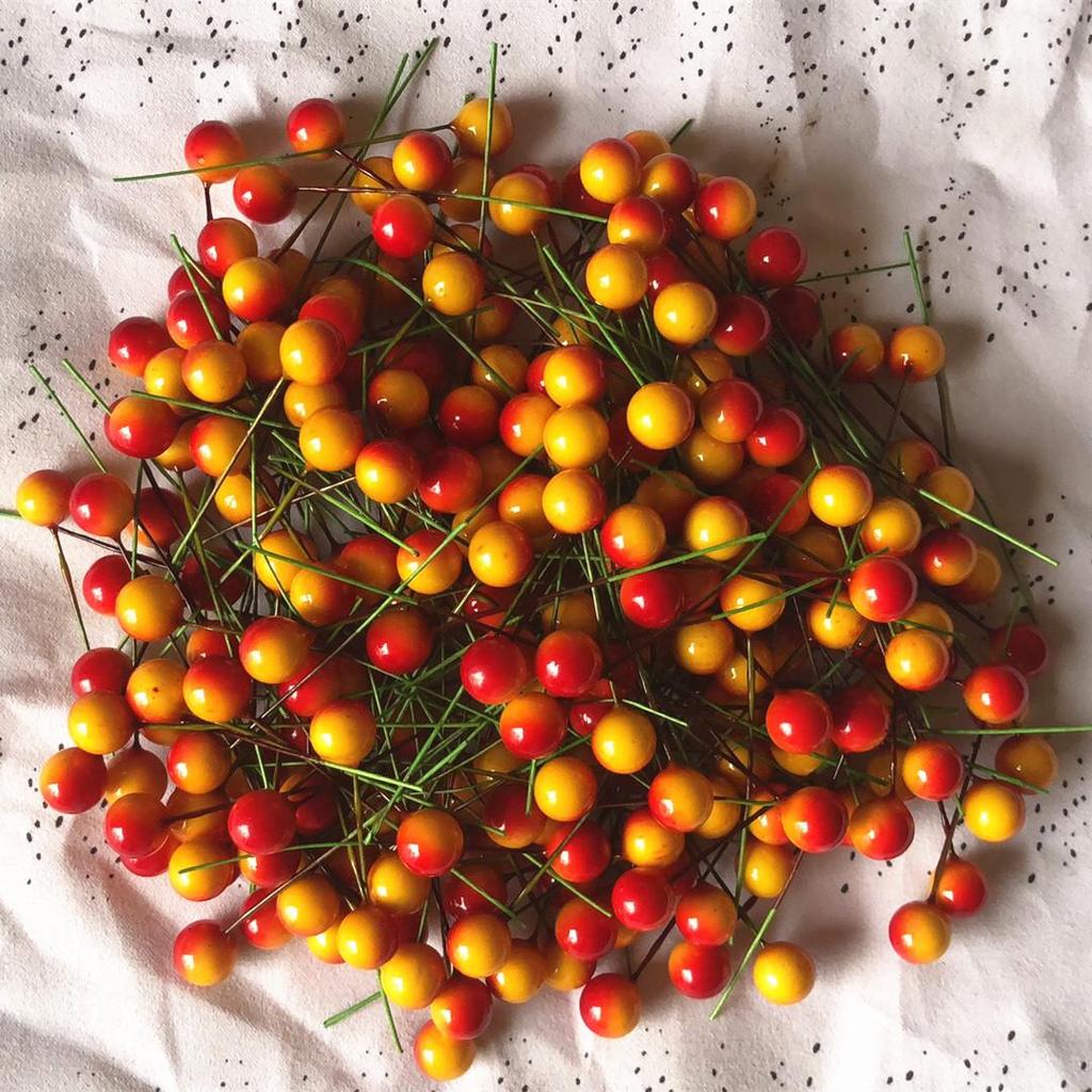 Set of 10 Gold & Silver Foam Red Berries - 100 Cherry Pearlescent Fruit Heads for Christmas Decoration.