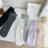 Anti Pilling Thin Strip Ultra Thin Solid Color Basic Boneless Stacking Socks Trend Straight Socks Thin