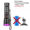365nm UV Flashlight USB Rechargeable Aluminum Alloy Black Mirror Purple Light Curing Cat Tinea Pet Urine Stain Leakage Detection