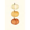 Terracotta Fall Pumpkin Canvas Gallery Wall Prints Autumn Maple Leaf Wheat Wall Art Farmhouse Thanksgiving Home Decor Gift