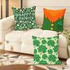 St Patricks Day Cute Cushion Cover Soft Plush Throw Pillow Cover  DoubleSided Printed Cushion Case  Cozy Sofa  Home Decor
