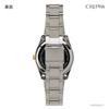 Analog Metal Silver [Clefer] Men's Watch, Waterproof, Band, TE-AM246-WTT