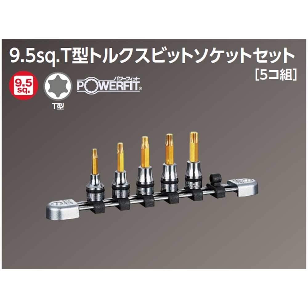 Kyoto Machine Tool Nepros Torx Bit Set NTQ6T05A (KTC) T-type