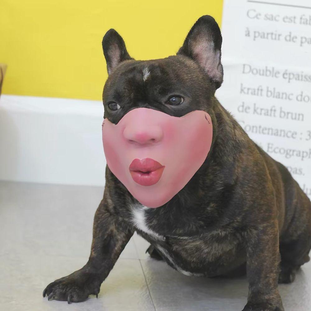 Anti-Bite Smiling Teeth Pet Muzzle Anti-Scavenge Grinning Dog Mask  Dog Cross Dressing