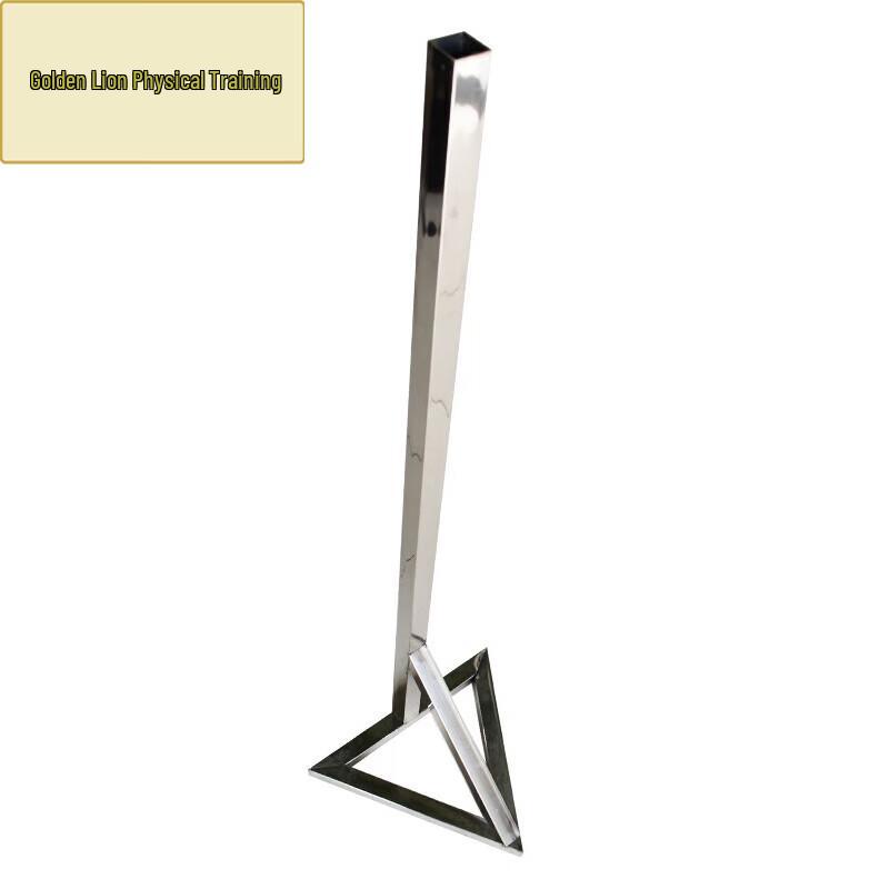 Golden Lion Posture & Marching Training Aids