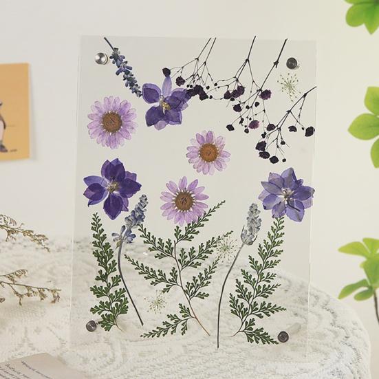 Acrylic Photo Frame Clear Picture Frames Tabletop or Wall Mount Display Frame