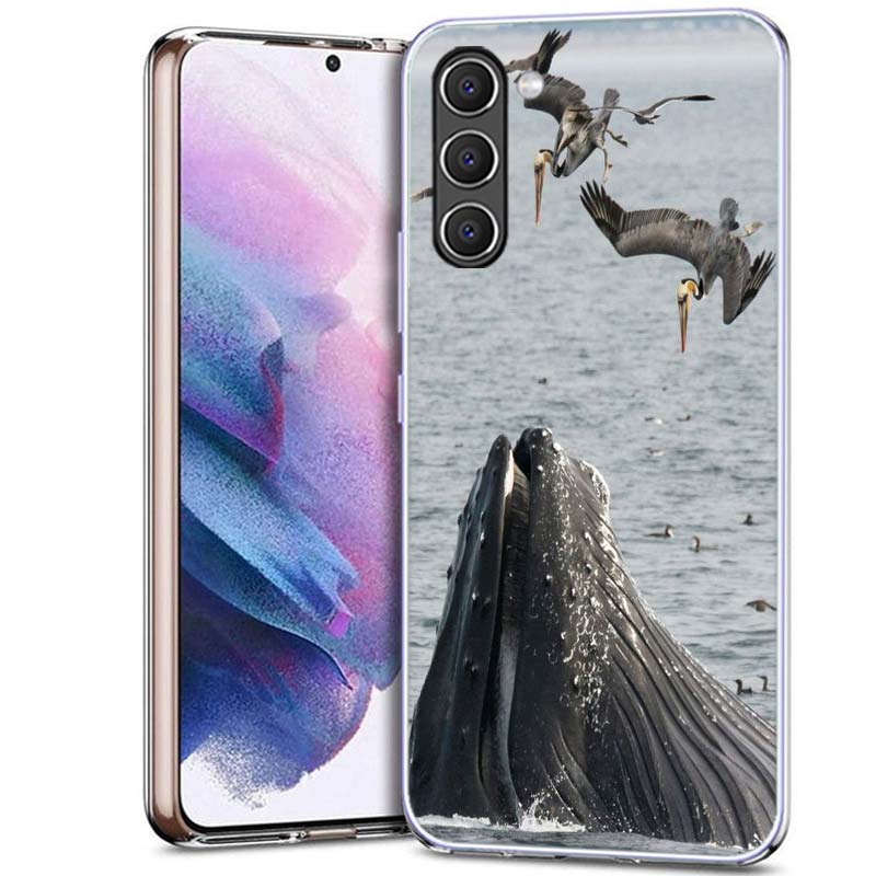 

Spectacular Humpback Whale Phone Case for Samsung A54 A14 A24 A34 A17 A37 A57 A55 A35 A25 A15 A13 A23 A33 A53 A07 A05S A04S A03 Samsung A54