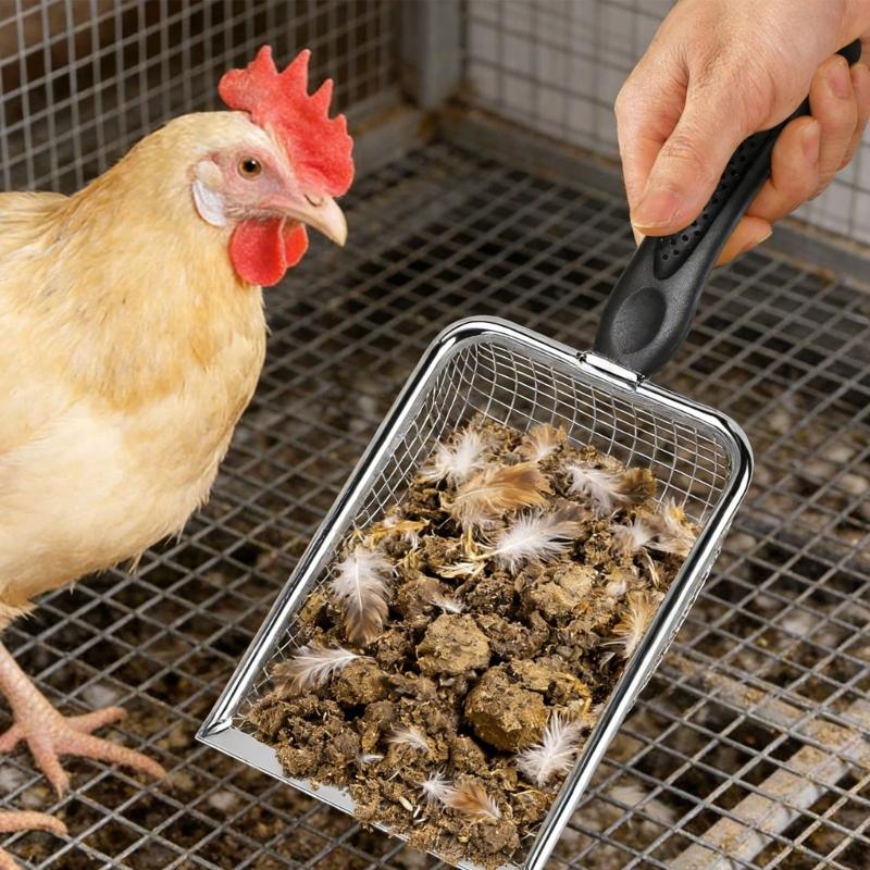 Heavy Duty Stainless Steel Chicken Manures Shovel for Easy Cleaning of Poultry Coops with Ergonomic Handle