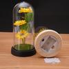Soap Flower Sunflower Ornament Creative Mother's Day Valentine's Day Gift Night Light Simulation Eternal Sunflower