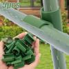 Garden Cross Clips Plant Support Connectors Holders for Tomato Vegetable Fruit Plants Multiple Sizes Outdoor Balcony Greenhouses