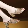  female sexy party night club spring & summer open toe square heel shoes women silver high quality sandal shoes ab778