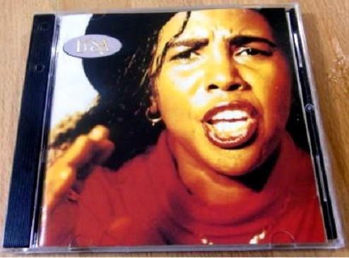

CD SANDRA DE SÁ - D#Sá BVCP728 RCA 1994 Japan Soul/Funk Used