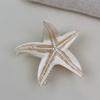 Non-Slip Starfish Hair Claw Clip Ocean Style Hair Barrettes Acetate Shark Clip  For Women