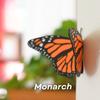 Realistic Butterfly Magnets Decorative Magnetic Art For Refrigerator Door Photo Wall DIY Craft Projects