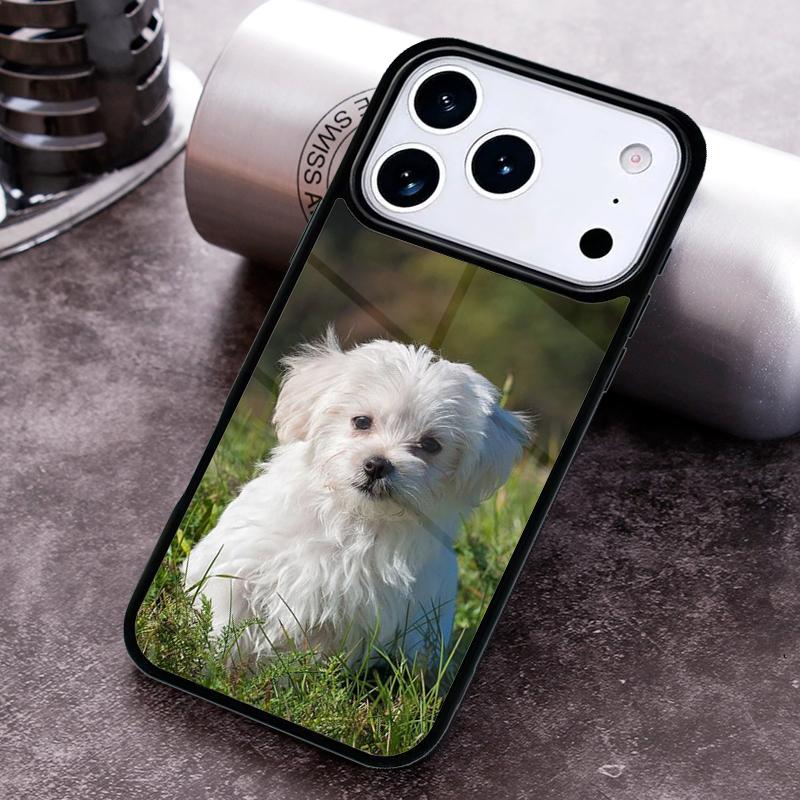 Cartoon Maltese Dog Soft Phone Case For iPhone 17 16 15 14 13 12 11 Pro Max Plus 17Air Soft Silicone Cover