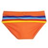 Men's Fashion Pride Day Swimming Briefs Low Waist Plus Size Summer Beach Wear