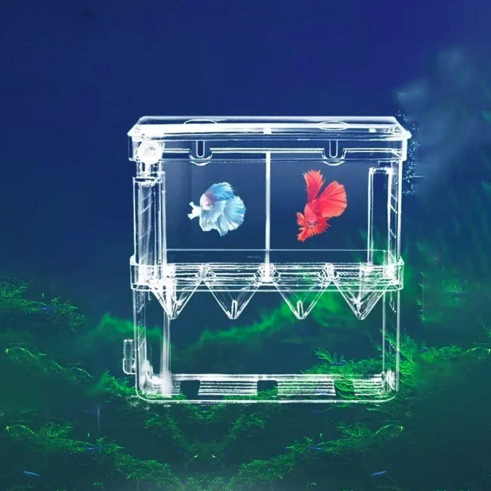 Double-Deck Fish Breeding Isolation Box Acrylic Fish Breeder Box  Fish Injured