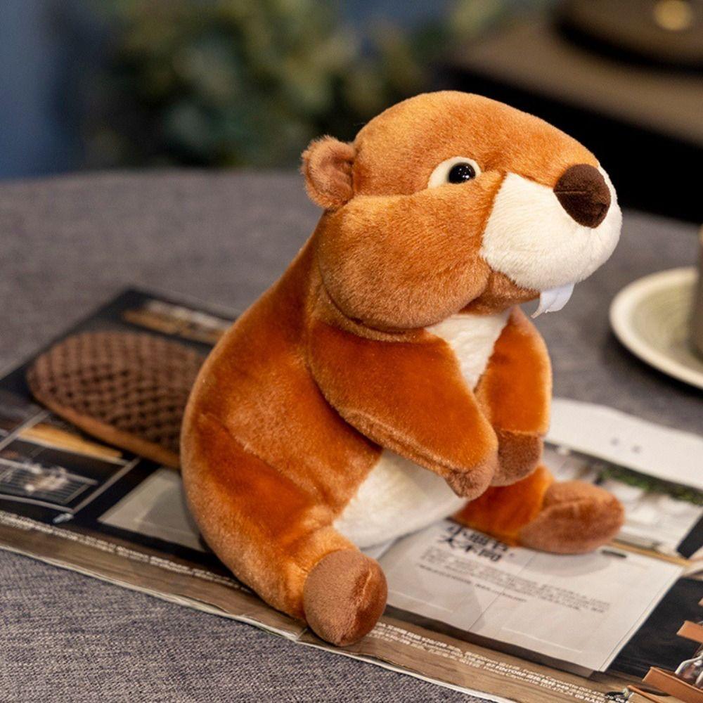 Lifelike Beaver Plush Toys PP Cotton Animals Cartoon Funny Dolls  Decorate Present
