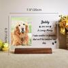 Custom Photo Pet Memorial Frame Fur Keepsake Vial Dog Cat Loss Tribute Personalized Engraved Remembrance Gift for Pet Owners