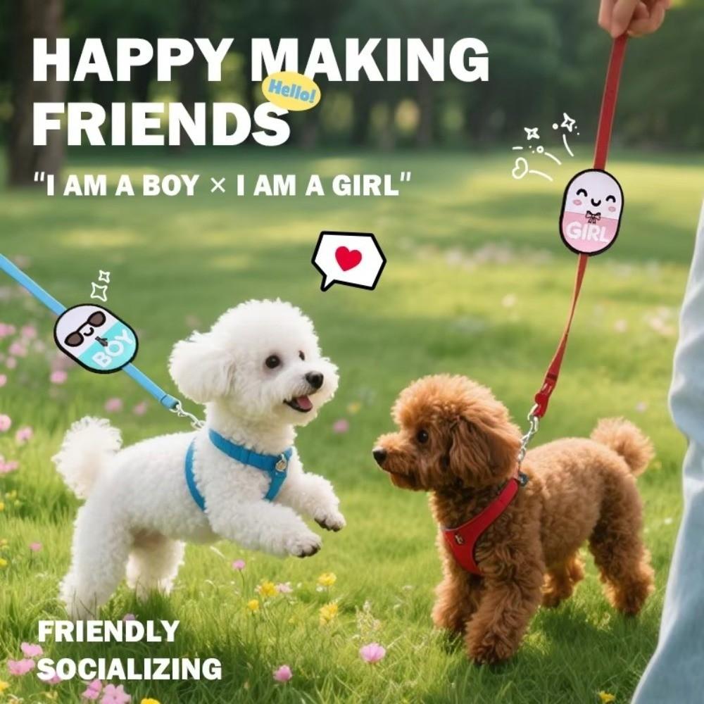 Waterproof Pet Identity Decals Cartoon Decorative Dog Social Stickers New Pet Tag  Dog Walking