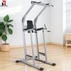 DSG-3 Pull-up and Dip Station