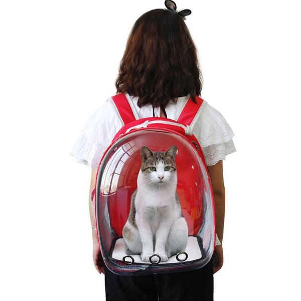pet astronaut backpack