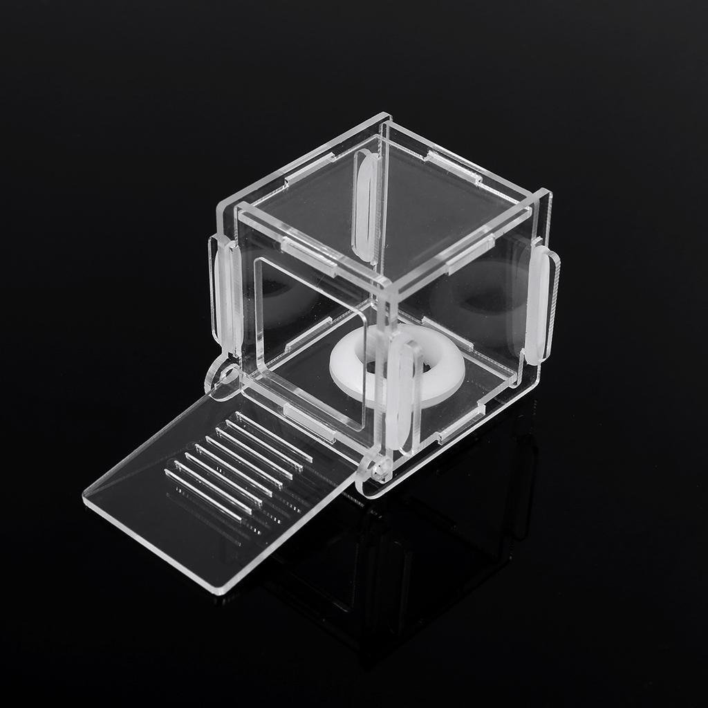 Acrylic Transparent Small Ants Nest Glass Nest Tube Farm Experiment Small Colony Feeding Area for Ants Observation Science