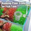 Aquarium Plant Holder Wall-Mounted Hydroponic Plant Basket Water Grass Planting Stand Aquarium Planter Fish Tank Accessory