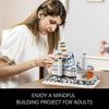 Germany Swan Stone Castle Micro Building Blocks Set, Famous World Architecture Model Creative Collection Building Toys for Adults and Kids 14+