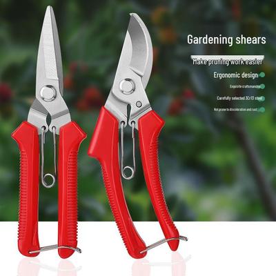 Stainless Steel Pruning Shears for Thick Branches & Fruit Trees - Garden & Floral Art Tools