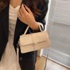 French Niche Popular Small Bag 2025 Autumn New Small Square Bag Trendy Versatile Women's Bag Shoulder Messenger Bag Women's Bag