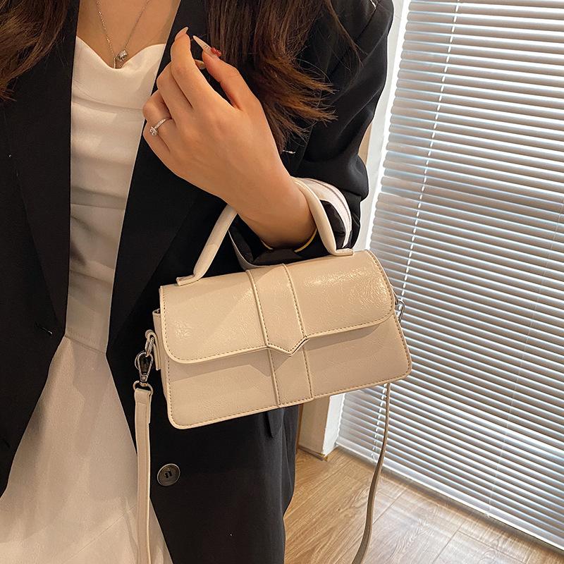 French Niche Popular Small Bag 2025 Autumn New Small Square Bag Trendy Versatile Women's Bag Shoulder Messenger Bag Women's Bag