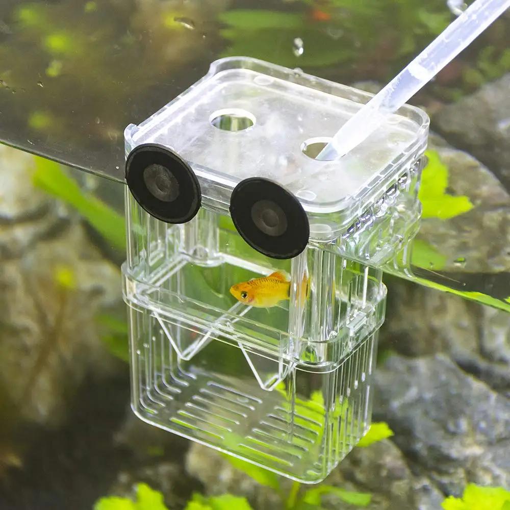 Fish Tank Incubator Fish Isolation, Ornamental Shrimp Small Fish Incubator Aquarium Oxygen Flushing Durable Breeding Box